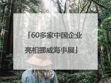 60多家中国企业亮相挪威海事展