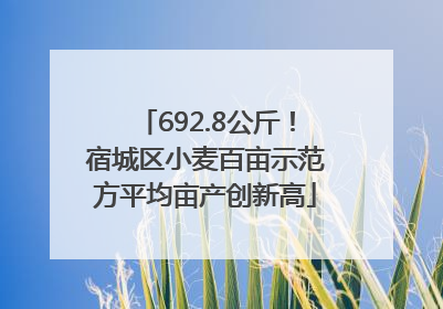 692.8公斤！宿城区小麦百亩示范方平均亩产创新高