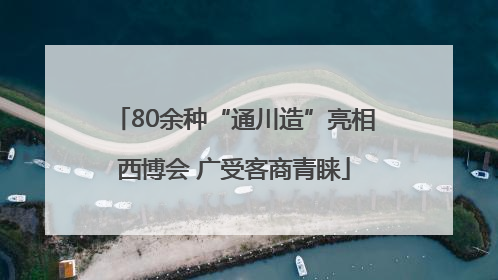 80余种“通川造”亮相西博会 广受客商青睐