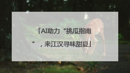 AI助力“挑瓜指南”，来江汉寻味甜夏