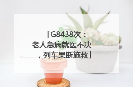 G8438次：老人急病就医不决，列车果断施救