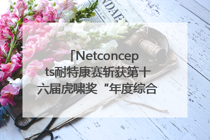 Netconcepts耐特康赛斩获第十六届虎啸奖“年度综合服务商”大奖